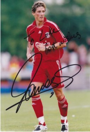 fernando torres 1